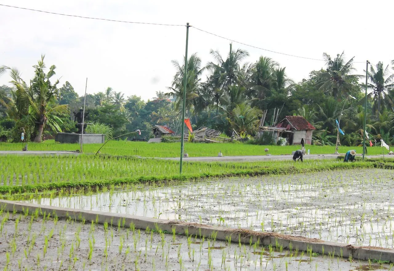Hotel Permana Ubud Cottage